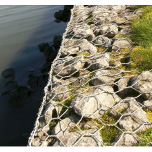 Gabion caja de malla de alambre / Gabion valla con gran popularidad